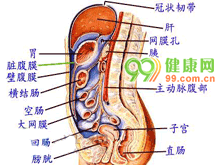 腹膜后腔液体渗病