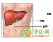 戊型病毒性肝炎