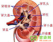 近端(Ⅱ型)肾小管性酸中毒