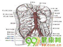 腹腔动脉压迫综合征