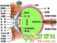 眼睑皮肤弛缓症