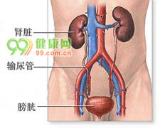 肾前性肾功能衰竭