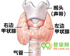 肝-甲状腺综合征