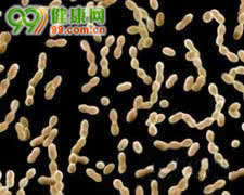 中间型链球菌感染