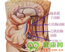 肠系膜上动脉栓塞